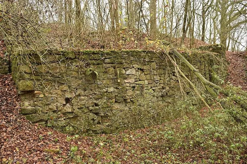 Foto di Resti del castello de butenheim - Anthony Olson - © Creative Commons (https://creativecommons.org/licenses/by-sa/4.0/deed.fr)