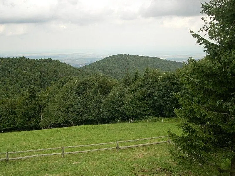 Foto von Schlachtfeld des HartmannsWillerKopfs im Gemeindewald (auch in Gemeinden von Hartmannswiller, Soultz-Haut-Rhin, Uffholtz und Wuenheim) - Serge Nueffer sur Wikipédia français - © Creative Commons (https://creativecommons.org/licenses/by-sa/4.0/deed.fr)