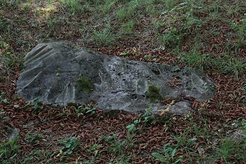 Foto de Pulidor de petite-garenne - Lionel Allorge - © Creative Commons (https://creativecommons.org/licenses/by-sa/4.0/deed.fr)