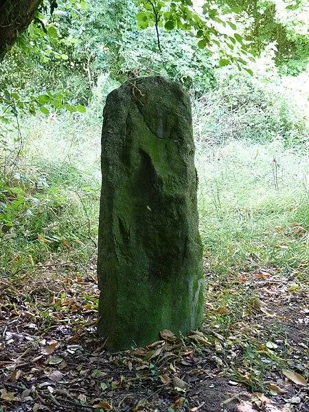Picture of Two Kergoff menhirs - Crepi22 - © Creative Commons (https://creativecommons.org/licenses/by-sa/4.0/deed.fr)