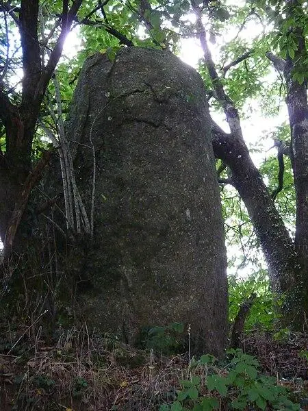 Picture of Menhir de Bodquelen - Crepi22 - © Creative Commons (https://creativecommons.org/licenses/by-sa/4.0/deed.fr)