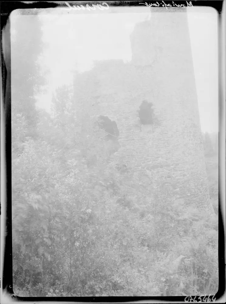 Picture of Remains of the Montalifant castle - POP Plateforme Ouverte du Patrimoine / Base Mérimée - © Ministère de la Culture (France), Médiathèque du patrimoine et de la photographie, diffusion RMN-GP