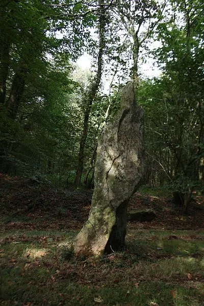Foto di Menhir - LionelRauch - © Creative Commons (https://creativecommons.org/licenses/by-sa/4.0/deed.fr)