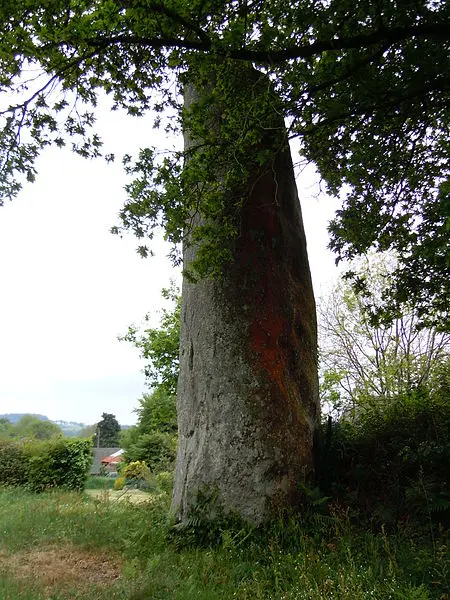Picture of Menhir - Lanzonnet - © Creative Commons (https://creativecommons.org/licenses/by-sa/4.0/deed.fr)