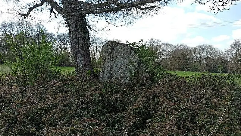 Picture of Menhir de Menou-Glas - Ghiltoniel - © Creative Commons (https://creativecommons.org/licenses/by-sa/4.0/deed.fr)