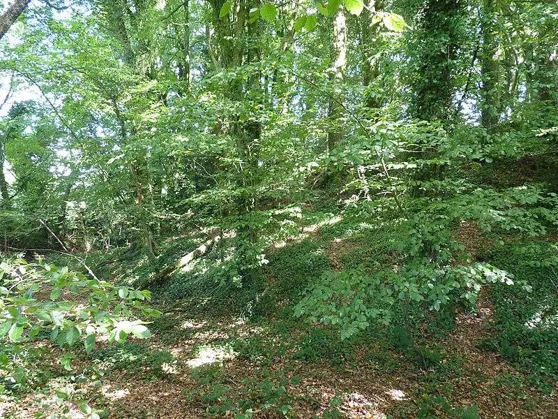 Picture of Tumulus dit an dossen - Crepi22 - © Creative Commons (https://creativecommons.org/licenses/by-sa/4.0/deed.fr)
