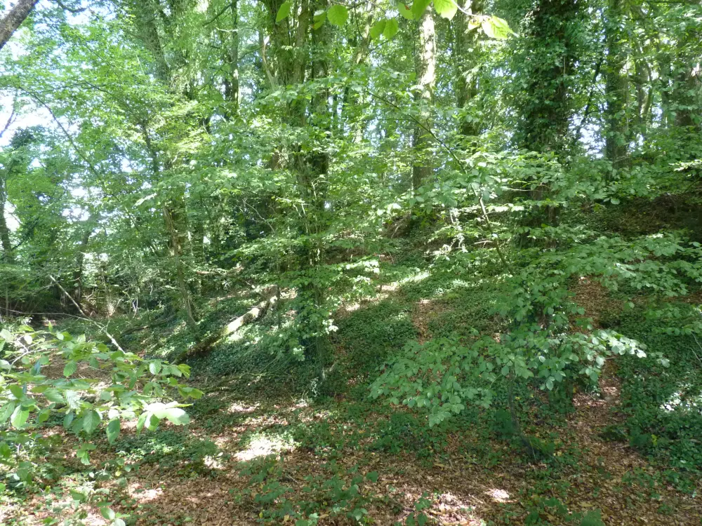 Picture of Tumulus dit an dossen - Sous licence Creative Commons (https://creativecommons.org/licenses/by-sa/4.0/deed.fr) - Par Crepi22 - © Creative Commons (https://creativecommons.org/licenses/by-sa/4.0/deed.fr)