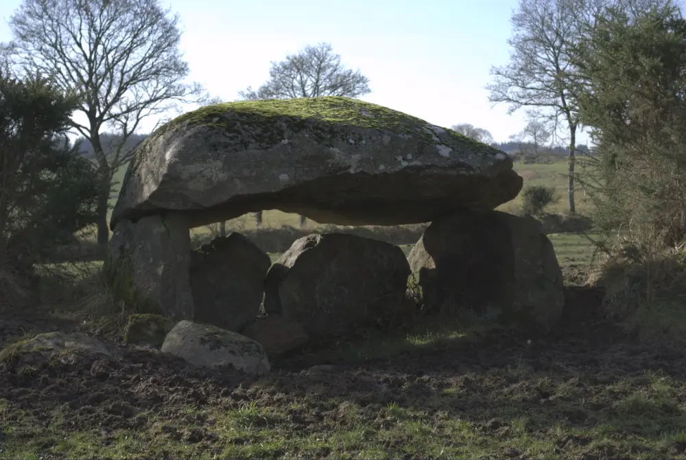 Picture of Dolmen - Sous licence Creative Commons (https://creativecommons.org/licenses/by-sa/4.0/deed.fr) - Par Msansm1 - © Creative Commons (https://creativecommons.org/licenses/by-sa/4.0/deed.fr)