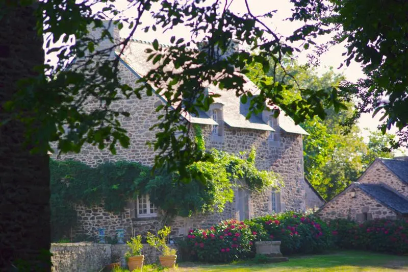 Picture of Vineyard - Dolly11 - © Creative Commons (https://creativecommons.org/licenses/by-sa/4.0/deed.fr)