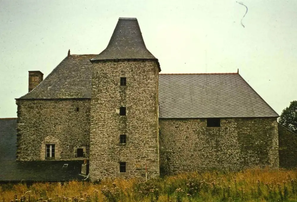 Foto di Vigneto - POP Plateforme Ouverte du Patrimoine / Base Mérimée - © Ministère de la Culture (France), Médiathèque du patrimoine et de la photographie, tous droits réservés