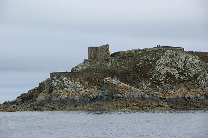 Picture of Strong from Ile aux Moines, in the Sept-Iles archipelago - Spendeau - © Creative Commons (https://creativecommons.org/licenses/by-sa/4.0/deed.fr)