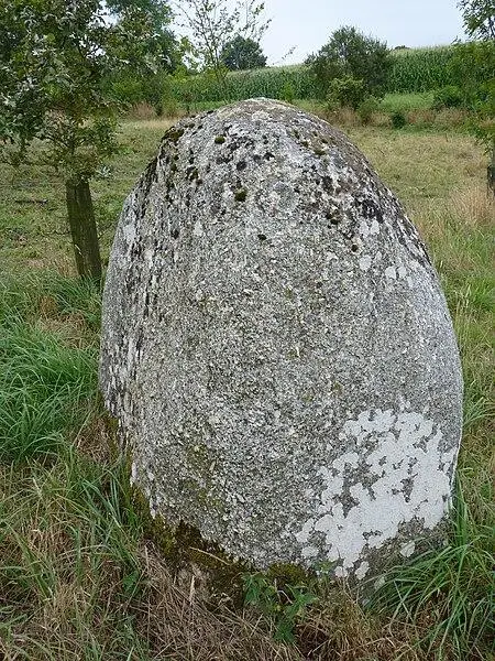 Picture of Menhir says little Vauridel - Crepi22 - © Creative Commons (https://creativecommons.org/licenses/by-sa/4.0/deed.fr)