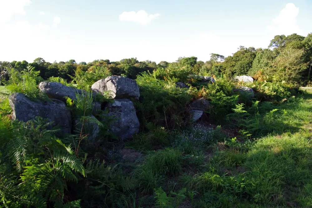 Picture of Covered and alignment of menhirs indicators of Saint-André - Sous licence Creative Commons (https://creativecommons.org/licenses/by-sa/4.0/deed.fr) - Par Dolly11 - © Creative Commons (https://creativecommons.org/licenses/by-sa/4.0/deed.fr)