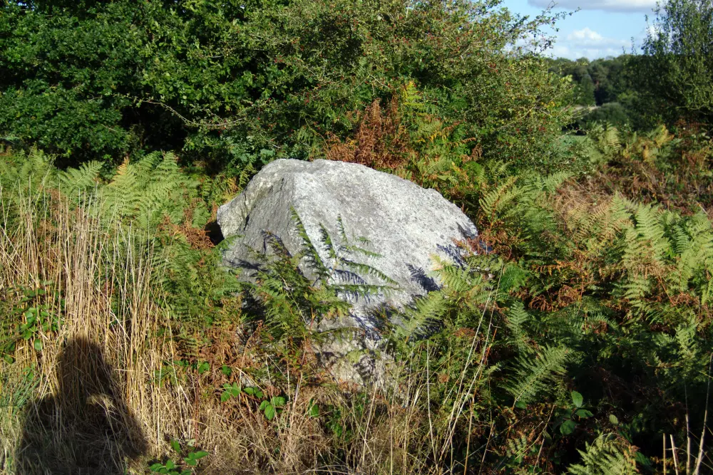 Picture of Covered and alignment of menhirs indicators of Saint-André - Sous licence Creative Commons (https://creativecommons.org/licenses/by-sa/4.0/deed.fr) - Par Dolly11 - © Creative Commons (https://creativecommons.org/licenses/by-sa/4.0/deed.fr)