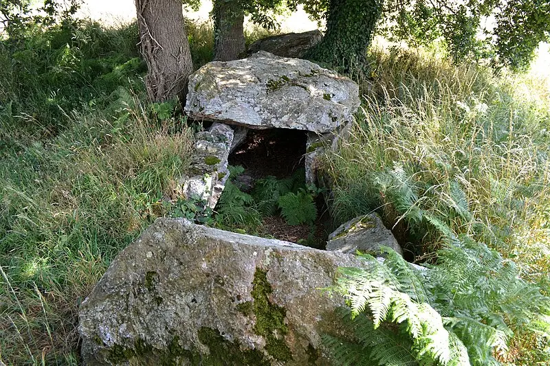 Picture of Covered allée called La Roche aux Fées - Liberliger - © Creative Commons (https://creativecommons.org/licenses/by-sa/4.0/deed.fr)