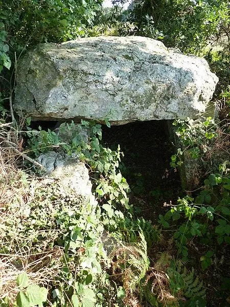 Picture of Covered allée called La Roche aux Fées - Crepi22 - © Creative Commons (https://creativecommons.org/licenses/by-sa/4.0/deed.fr)