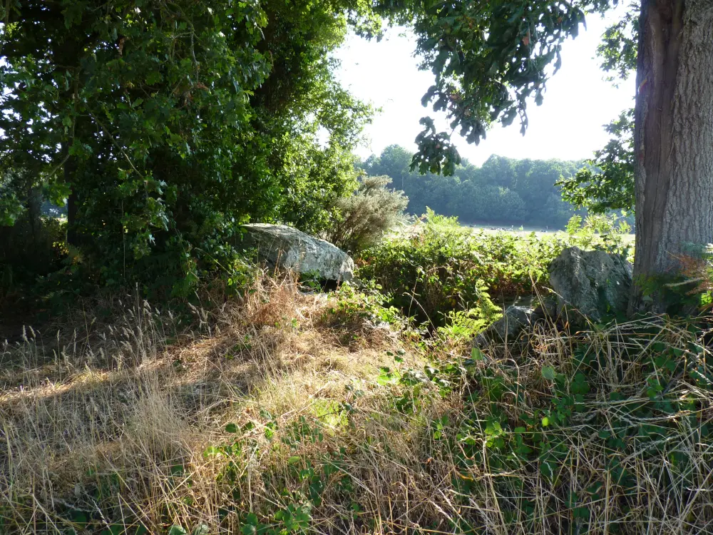 Picture of Covered allée called La Roche aux Fées - Sous licence Creative Commons (https://creativecommons.org/licenses/by-sa/4.0/deed.fr) - Par Crepi22 - © Creative Commons (https://creativecommons.org/licenses/by-sa/4.0/deed.fr)