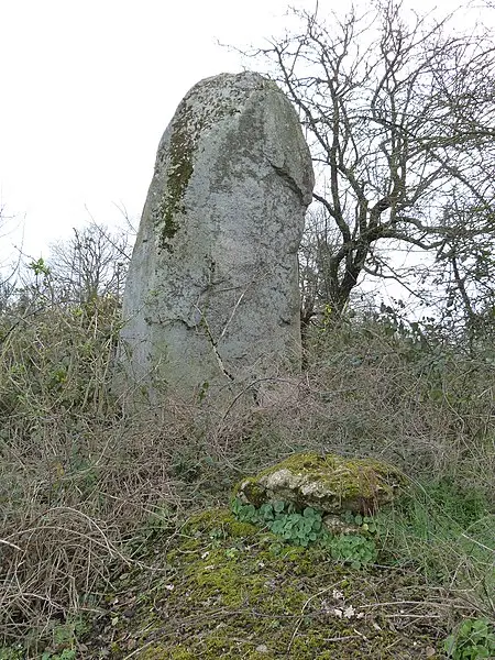 Picture of Two menhirs - Thérèse Gaigé - © Creative Commons (https://creativecommons.org/licenses/by-sa/4.0/deed.fr)