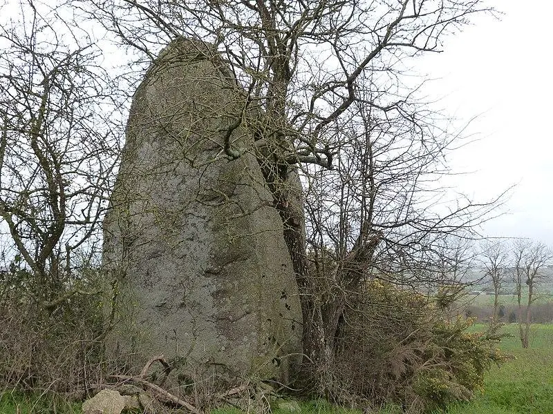 Picture of Two menhirs - Thérèse Gaigé - © Creative Commons (https://creativecommons.org/licenses/by-sa/4.0/deed.fr)