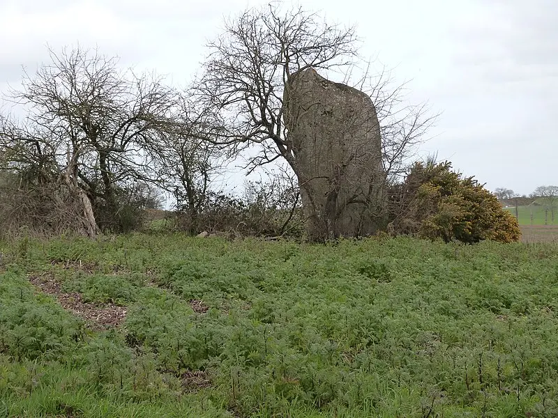 Picture of Two menhirs - Thérèse Gaigé - © Creative Commons (https://creativecommons.org/licenses/by-sa/4.0/deed.fr)