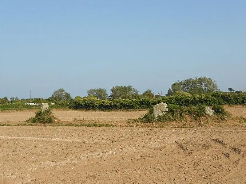 Foto di Allineamento dei menhir - Crepi22 - © Creative Commons (https://creativecommons.org/licenses/by-sa/4.0/deed.fr)