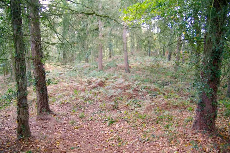 Foto di Tumulus dice la torre inferiore - Dolly11 - © Creative Commons (https://creativecommons.org/licenses/by-sa/4.0/deed.fr)