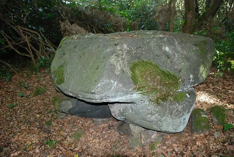 Picture of Polisher - Philweb - © Creative Commons (https://creativecommons.org/licenses/by-sa/4.0/deed.fr)