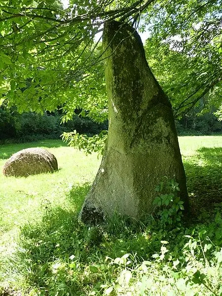 Picture of Menhir says of the pre -of -Camet - Crepi22 - © Creative Commons (https://creativecommons.org/licenses/by-sa/4.0/deed.fr)