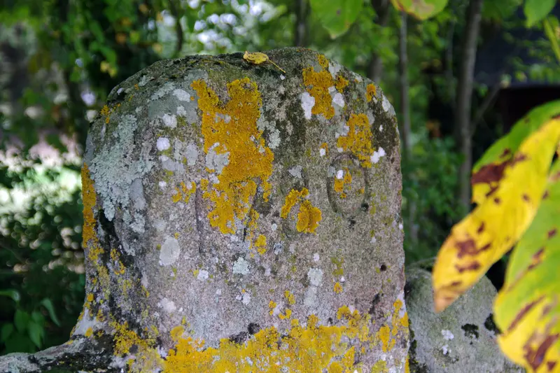 Picture of Monolith - Dolly11 - © Creative Commons (https://creativecommons.org/licenses/by-sa/4.0/deed.fr)