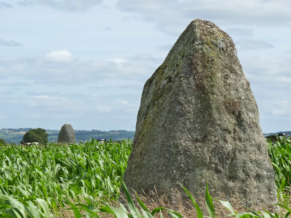 Picture of Keranhouët menhir - Sous licence Creative Commons (https://creativecommons.org/licenses/by-sa/4.0/deed.fr) - Par Crepi22 - © Creative Commons (https://creativecommons.org/licenses/by-sa/4.0/deed.fr)