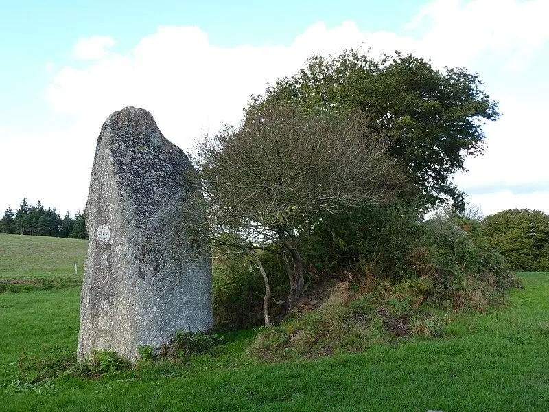 Picture of Menhir de Crec'h Ogel - Crepi22 - © Creative Commons (https://creativecommons.org/licenses/by-sa/4.0/deed.fr)