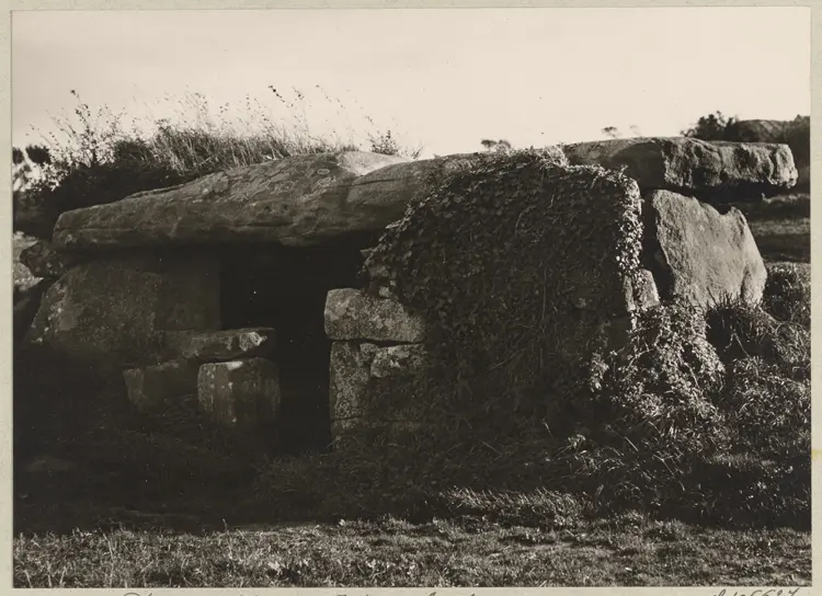 Foto di Dolmen - POP Plateforme Ouverte du Patrimoine / Base Mérimée - © Ministère de la Culture (France), Médiathèque du patrimoine et de la photographie, diffusion GrandPalaisRmn Photo