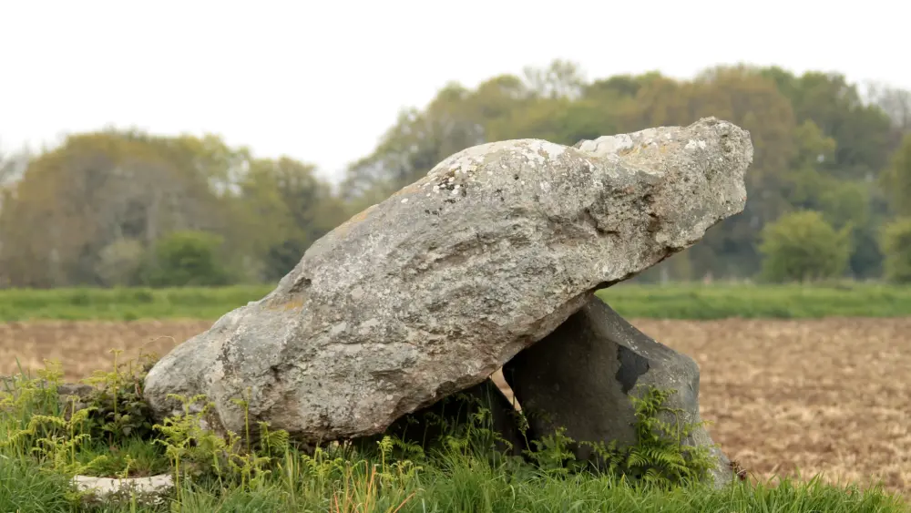 Foto di Dolmen ha detto della città Tanguy - Sous licence Creative Commons (https://creativecommons.org/licenses/by-sa/4.0/deed.fr) - Par DarwIn - © Creative Commons (https://creativecommons.org/licenses/by-sa/4.0/deed.fr)