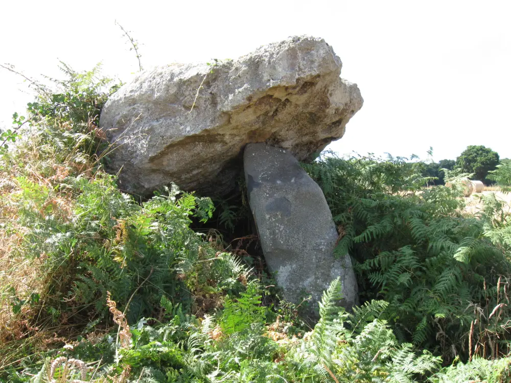Foto di Dolmen ha detto della città Tanguy - Sous licence Creative Commons (https://creativecommons.org/licenses/by-sa/4.0/deed.fr) - Par Thor19 - © Creative Commons (https://creativecommons.org/licenses/by-sa/4.0/deed.fr)