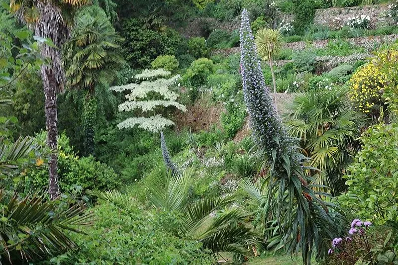 Picture of Kestellic garden - Thérèse Gaigé - © Creative Commons (https://creativecommons.org/licenses/by-sa/4.0/deed.fr)