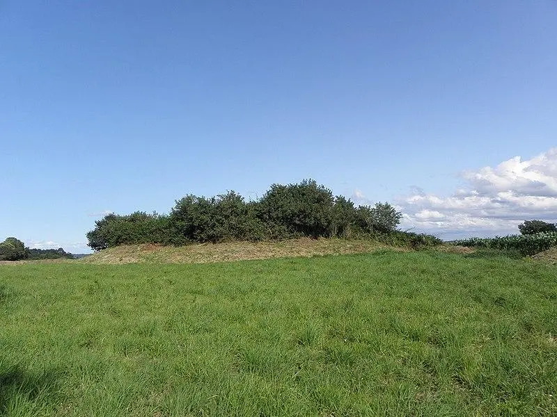 Foto von Tumulus sagt, dass TOOLN-AR-C'HONIFLE - GO69 - © Creative Commons (https://creativecommons.org/licenses/by-sa/4.0/deed.fr)