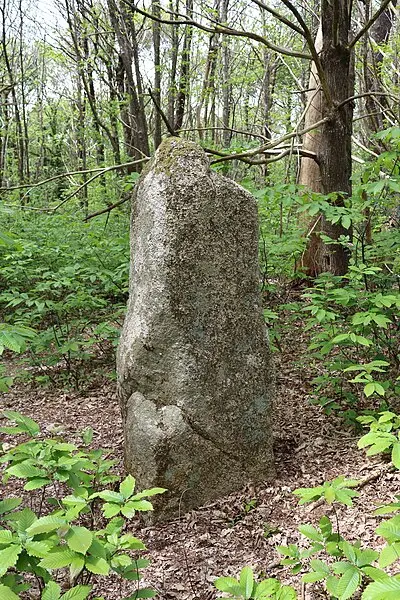 Foto von Menhir - Yann Gwilhoù - © Creative Commons (https://creativecommons.org/licenses/by-sa/4.0/deed.fr)