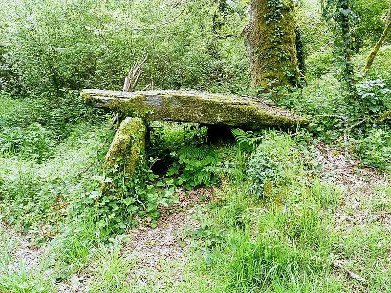 Foto de Callejón cubierto de kervonledic - Moreau.henri - © Creative Commons (https://creativecommons.org/licenses/by-sa/4.0/deed.fr)