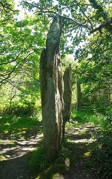 Foto von Drei Kerflland Menhirs und Landstreifen herum - Yann Gwilhoù - © Creative Commons (https://creativecommons.org/licenses/by-sa/4.0/deed.fr)