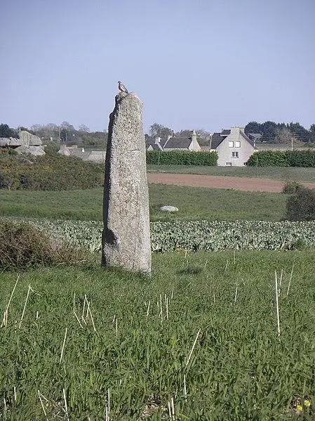 Foto de Menhir d'Irvit - GO69 - © Creative Commons (https://creativecommons.org/licenses/by-sa/4.0/deed.fr)