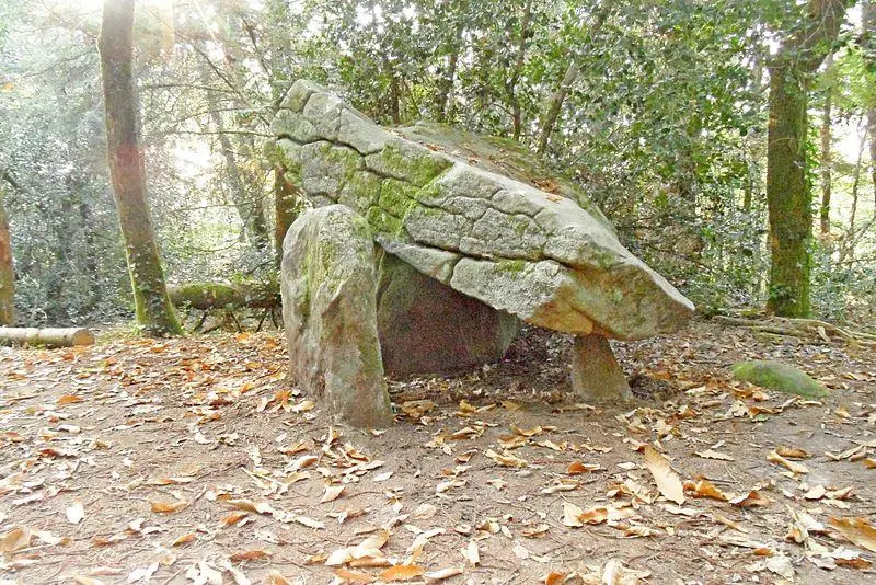 Foto de Dolmen de Ménez-Liaven y Strip de tierra alrededor - Cansim - © Creative Commons (https://creativecommons.org/licenses/by-sa/4.0/deed.fr)
