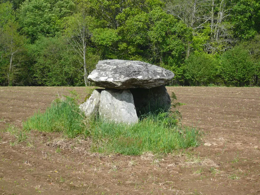 Foto de Dolmen de Kerscao - Sous licence Creative Commons (https://creativecommons.org/licenses/by-sa/4.0/deed.fr) - Par Bzh-99 - © Creative Commons (https://creativecommons.org/licenses/by-sa/4.0/deed.fr)