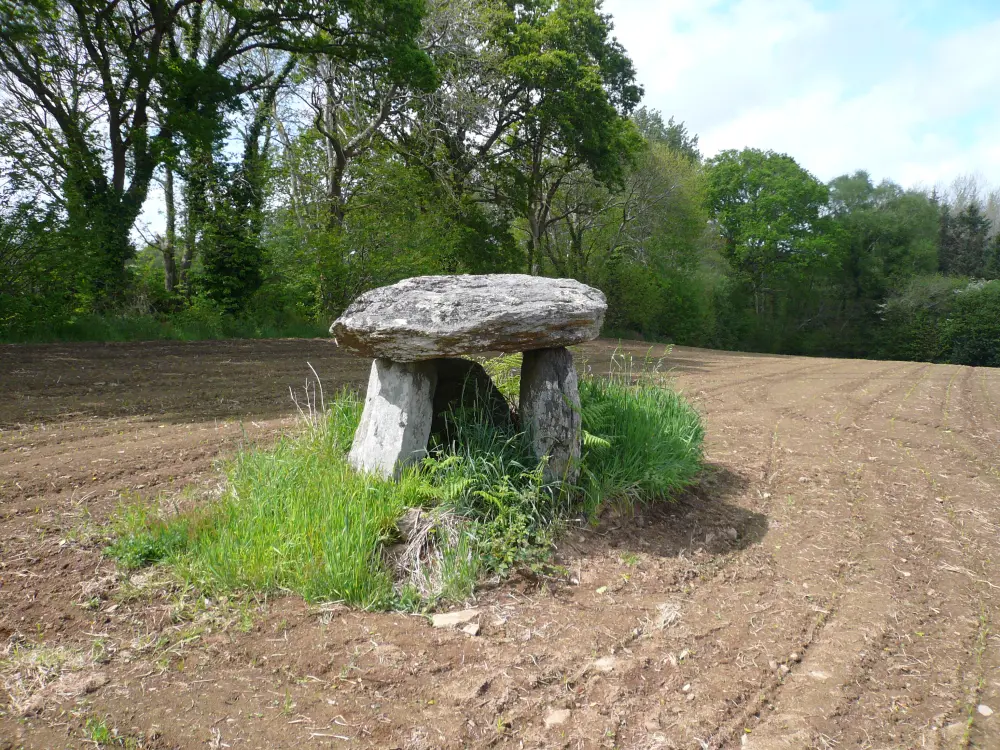 Foto de Dolmen de Kerscao - Sous licence Creative Commons (https://creativecommons.org/licenses/by-sa/4.0/deed.fr) - Par Bzh-99 - © Creative Commons (https://creativecommons.org/licenses/by-sa/4.0/deed.fr)