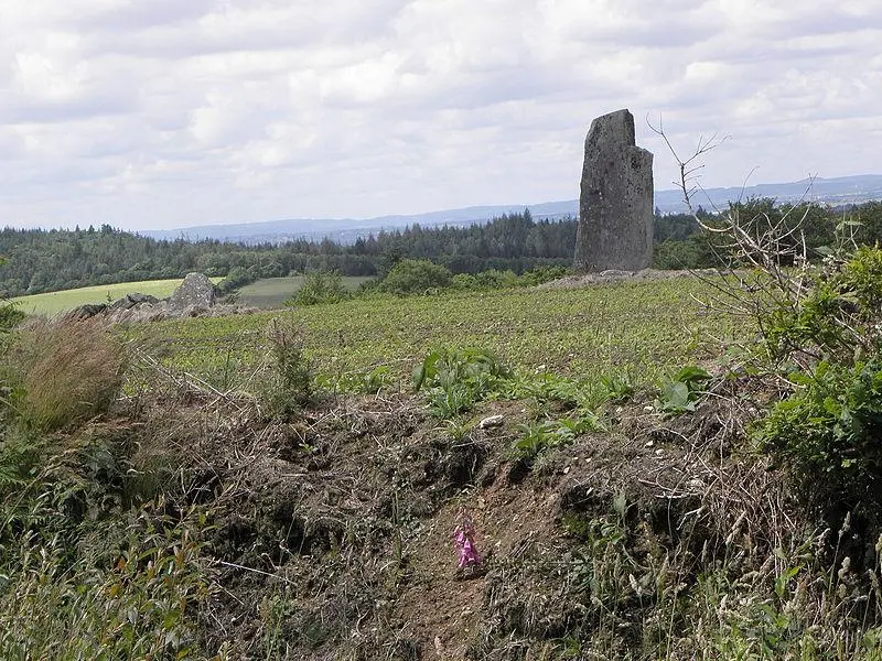 Foto von Ausrichtung von Stammmenhirs - GO69 - © Creative Commons (https://creativecommons.org/licenses/by-sa/4.0/deed.fr)