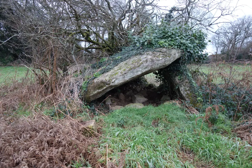 Foto de Dolmen - Sous licence Creative Commons (https://creativecommons.org/licenses/by-sa/4.0/deed.fr) - Par Milca56 - © Creative Commons (https://creativecommons.org/licenses/by-sa/4.0/deed.fr)