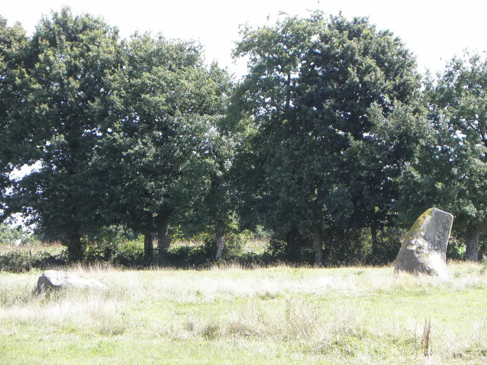 Picture of Alignment of Menhirs de Bringurault - Sous licence Creative Commons (https://creativecommons.org/licenses/by-sa/4.0/deed.fr) - Par GO69 - © Creative Commons (https://creativecommons.org/licenses/by-sa/4.0/deed.fr)