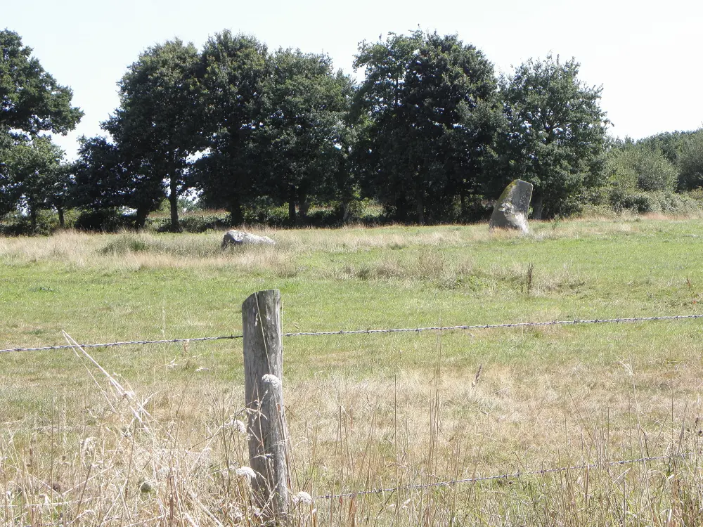 Picture of Alignment of Menhirs de Bringurault - Sous licence Creative Commons (https://creativecommons.org/licenses/by-sa/4.0/deed.fr) - Par GO69 - © Creative Commons (https://creativecommons.org/licenses/by-sa/4.0/deed.fr)