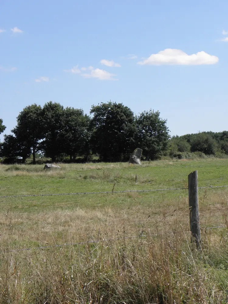 Picture of Alignment of Menhirs de Bringurault - Sous licence Creative Commons (https://creativecommons.org/licenses/by-sa/4.0/deed.fr) - Par GO69 - © Creative Commons (https://creativecommons.org/licenses/by-sa/4.0/deed.fr)