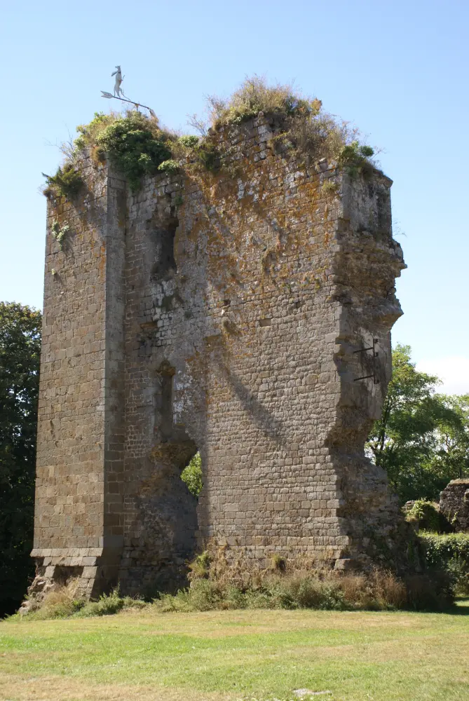 Foto di Resti del vecchio castello - Sous licence Creative Commons (https://creativecommons.org/licenses/by-sa/4.0/deed.fr) - Par Riry17 - © Creative Commons (https://creativecommons.org/licenses/by-sa/4.0/deed.fr)