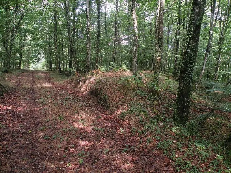 Foto di Oppidum situato nella foresta di stato di Fougères - Pymouss - © Creative Commons (https://creativecommons.org/licenses/by-sa/4.0/deed.fr)